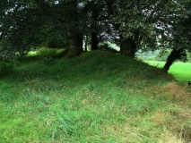 Huntsham Castle