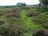 Click for full size image of Roborough Down Earthworks (PID:113359) Roborough Down Earthworks