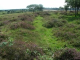 Roborough Down Earthworks - PID:113359