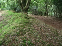 Huntsham Castle