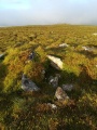 Cosdon Hill Summit Cairns