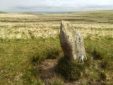 White Moor Stone - PID:228829