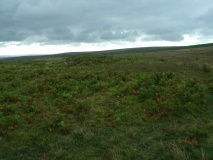 Holne Ridge 5