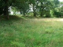 Huntsham Castle
