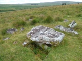 Click for full size image of Ringmoor Down Cairn 2 (PID:207153) Ringmoor Down Cairn 2