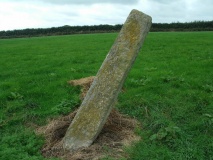 Long Stone (East Worlington)