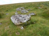 Click for full size image of Ringmoor Down Cairn 2 (PID:207154) Ringmoor Down Cairn 2