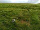 Click for full size image of Upper Erme Row (PID:235970) Upper Erme Row