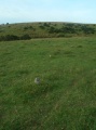 Click for full size image of Shaugh Moor row (PID:113373) Shaugh Moor row