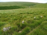 Click for full size image of Upper Erme Row (PID:235971) Upper Erme Row