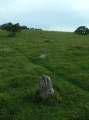 Click for full size image of Shaugh Moor row (PID:113374) Shaugh Moor row