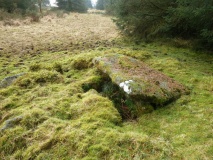 Bellever Tor Cairn one