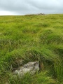 Click for full size image of Upper Erme Row (PID:235972) Upper Erme Row