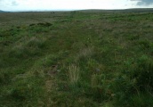 Click for full size image of Holne Moor (PID:113684) Holne Moor
