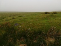 White Barrow (Cocks Hill)