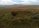 Click for full size image of Langstone Moor settlement (PID:240147) Langstone Moor settlement