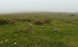 Gidleigh Common Cairns
