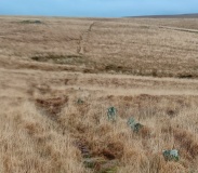 Upper Erme Row