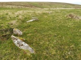 Click for full size image of Buttern E (PID:230189) Buttern E