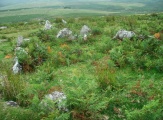 Gutter Tor north