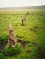 Click for full size image of Ringmoor Down Stone Row (PID:131292) Ringmoor Down Stone Row