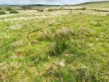 Click for full size image of Blackabrook (PID:230442) Blackabrook