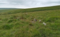 Click for full size image of Upper Erme Row (PID:235977) Upper Erme Row