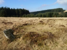Bellever Tor N Settlement
