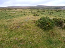 Click for full size image of Lee Moor Settlement (PID:207439) Lee Moor Settlement