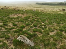 Shovel Down stone circle