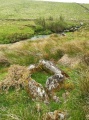 Click for full size image of Blackabrook (PID:230444) Blackabrook