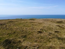 Tibbett's Hill Cairn Circles