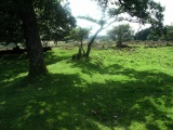 Click for full size image of Roborough Down Earthworks (PID:113360) Roborough Down Earthworks
