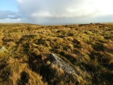 Click for full size image of Butterdon Stone Circle (PID:220183) Butterdon Stone Circle