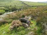 Click for full size image of Blackabrook (PID:230447) Blackabrook