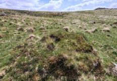 Down Tor North East (Eastern)