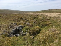 Drizzlecombe Brook