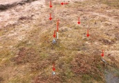 Holne Moor