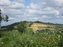 Cadbury Castle (Devon)