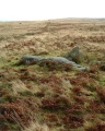 Click for full size image of Holne Moor (PID:642) Holne Moor