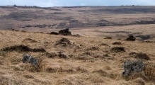 Shovel Down stone circle