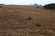 Shaugh Moor row