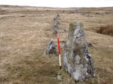 Trowlesworthy West row