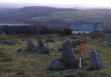 Collard Tor E