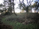Row Barrow (Devon) - PID:144432