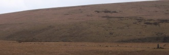 Drizzlecombe menhir 1