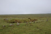 Trowlesworthy West row