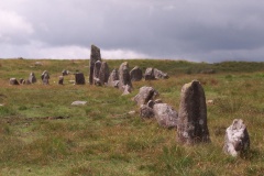 Down Tor stone row  - PID:208548
