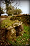 Chagford Druid's Well