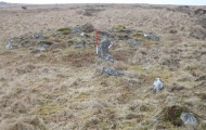 Hart Tor south row